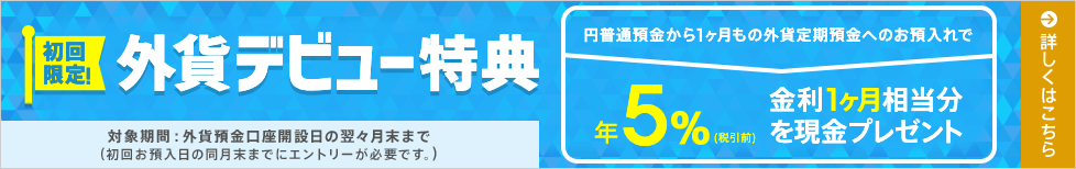 初回限定！外貨デビュー特典