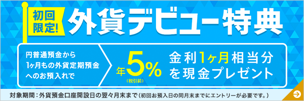 初回限定！外貨デビュー特典