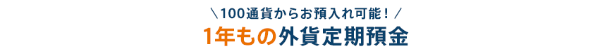 ＼100通貨からお預入れ可能！／