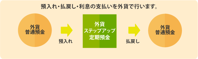 預入れ・払戻し・利息の支払いを外貨で行います。