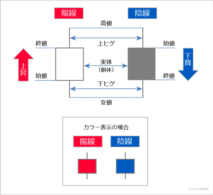 陽線