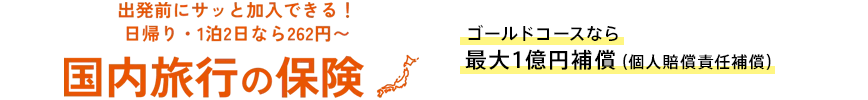 出発前にサッと加入できる！日帰り・1泊2日なら262円～　国内旅行の保険